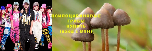 метамфетамин Богданович