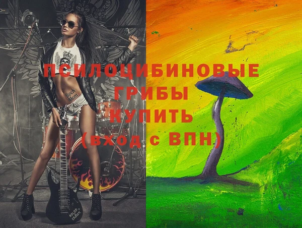 метамфетамин Богданович