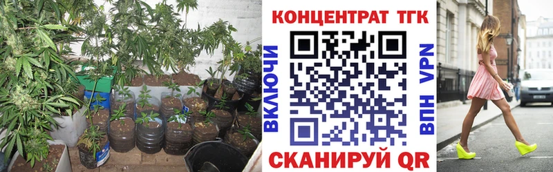 ТГК Wax Череповец